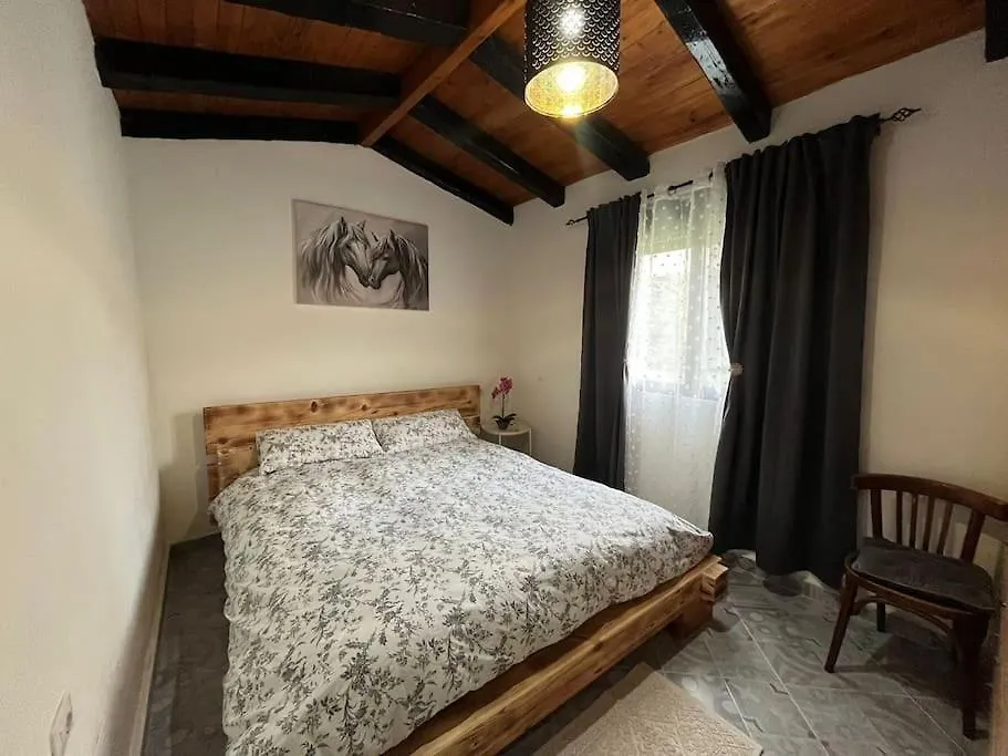 Tiny House Villa Durres